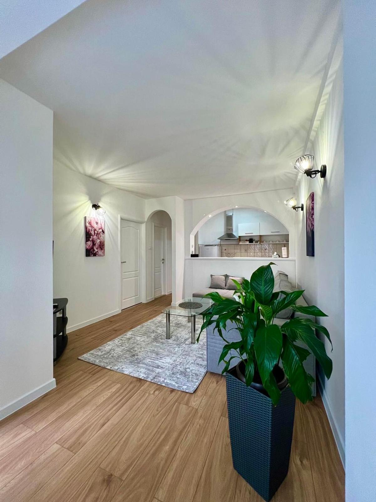 מוסטר New Luxe Apartments מראה חיצוני תמונה